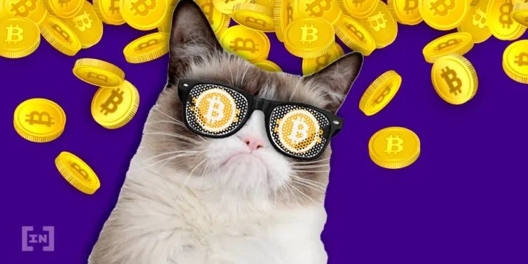 Bitcoin unter $3000 und Internet-Abschaltung: Fünf düstere Prognosen eines Krypto-CEOs