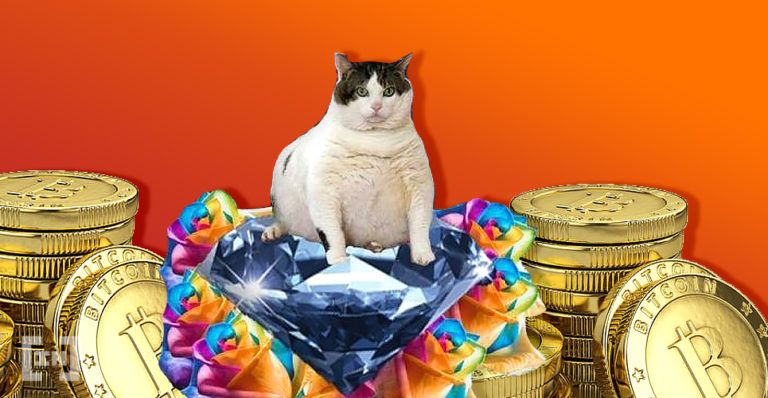 Dicke Katze auf einem Haufen Bitcoin