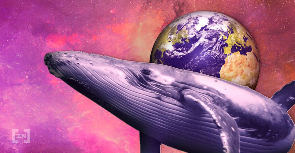Bitcoin Whales: Woher sie kommen und was sie tun
