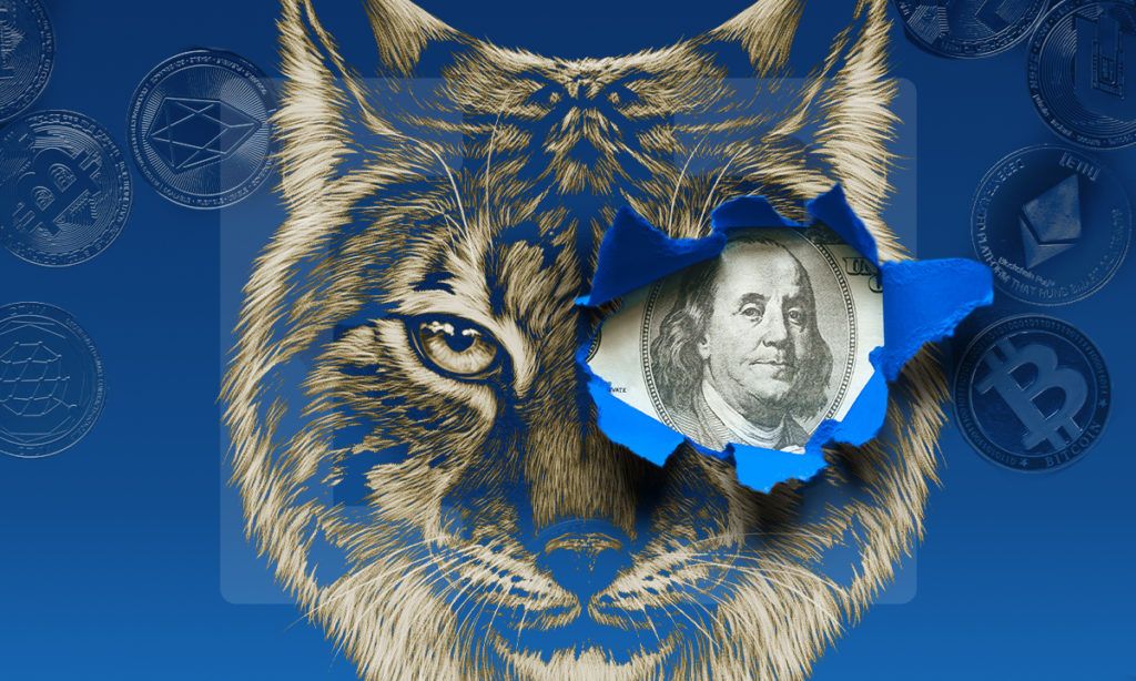 Wildcat Crypto: Wiederholt sich die Geschichte?