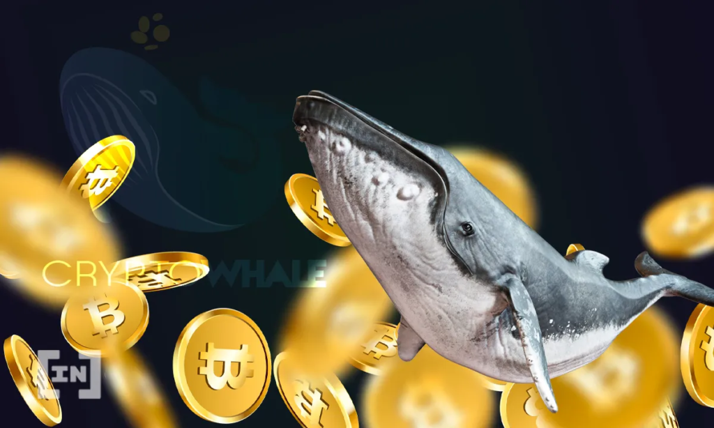 Bitcoin bei 20.000 USD: Größter Wal kauft nach
