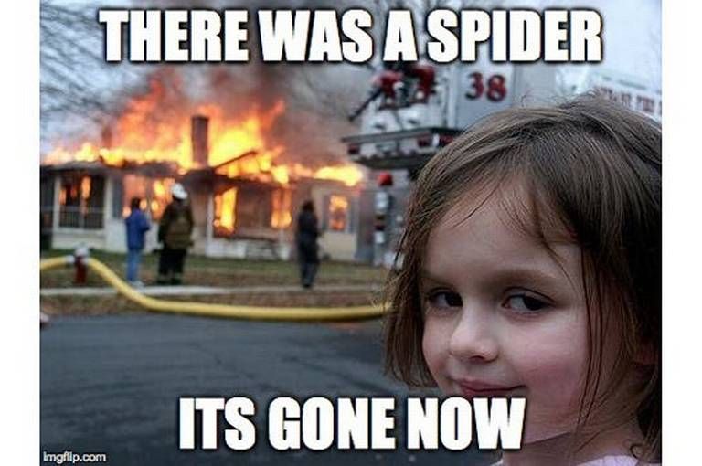 Disaster Girl Meme