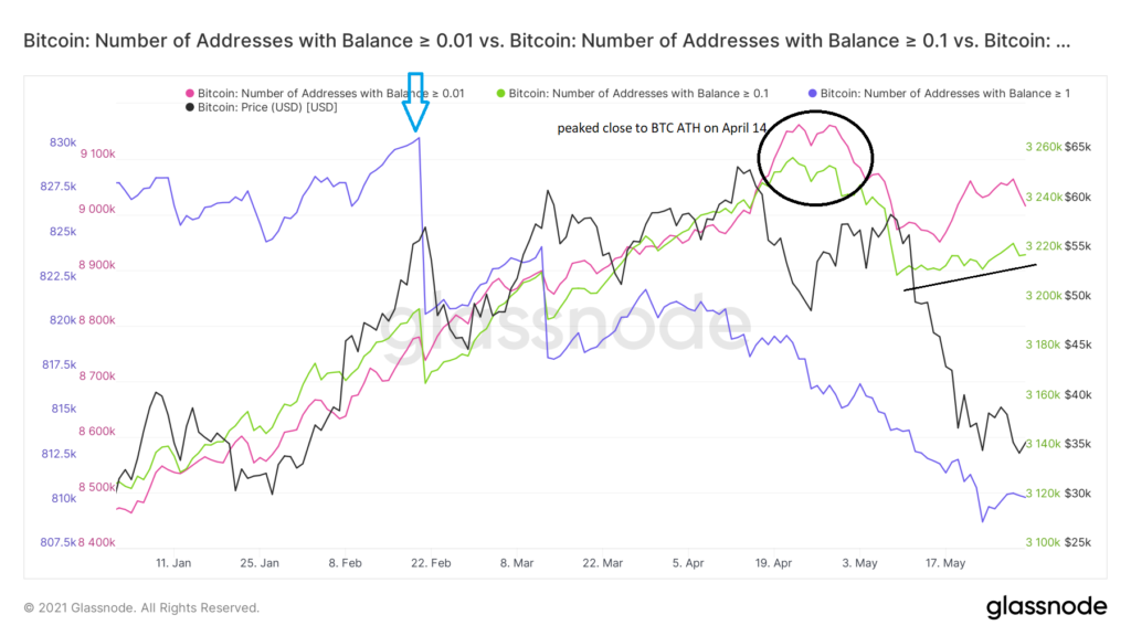 Bitcoin Adressen groß klein Verhalten Glassnode