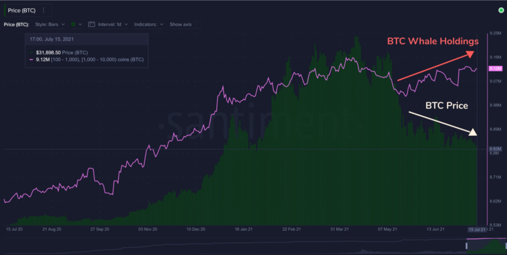 Bitcoin Whales Preis
