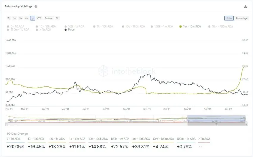 Cardano Adressen mit mehr als 1 Millionen ADA Chart