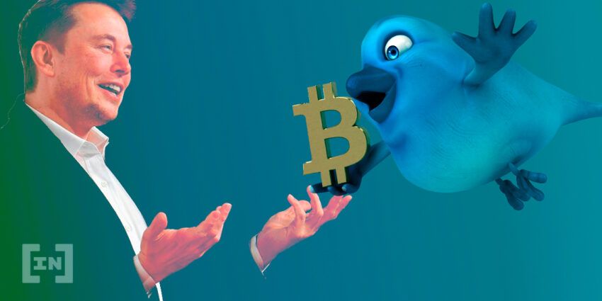 Könnte Twitter mithilfe einer Bitcoin Integration das traditionelle Bankensystem ersetzen?
