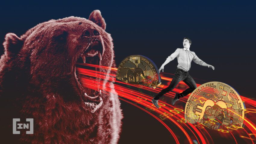Krypto-Trading: 7 Tipps, wie du den Bitcoin-Bärenmarkt überstehst