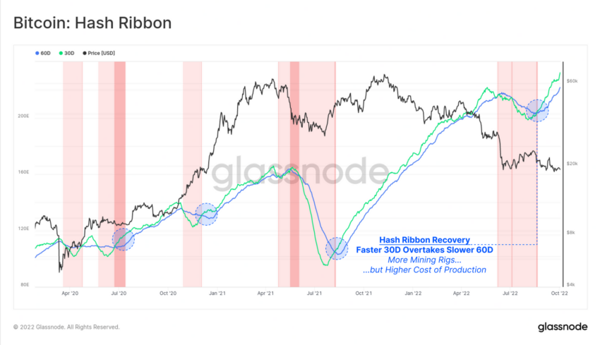 Bitcoin Hash Ribbon Graph