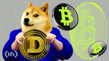 Dogecoin vs. Bitcoin: Der ultimative Vergleich