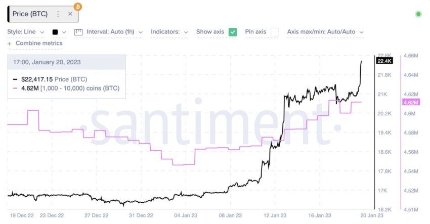 Bitcoin Käufe
