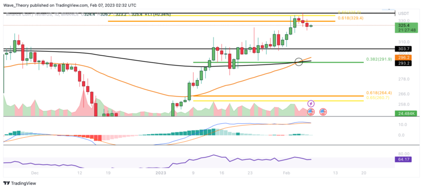 BNB Preis Chart von Tradingview