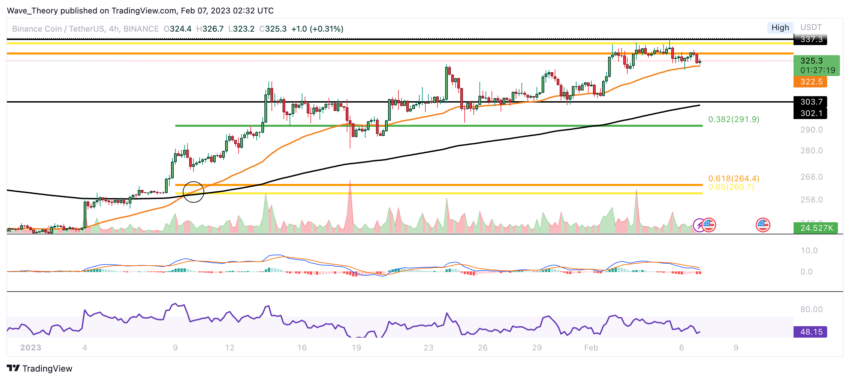 BNB Preis Chart von Tradingview