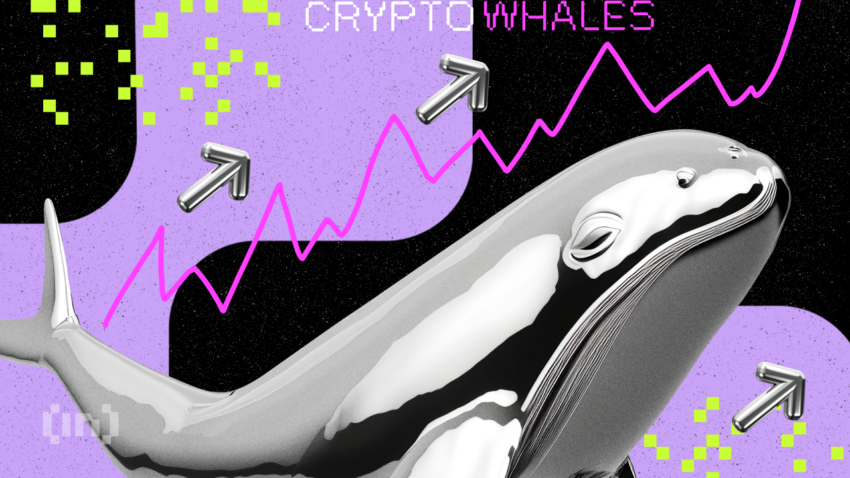 Diese 3 Altcoins kaufen Krypto-Wale für Oktober