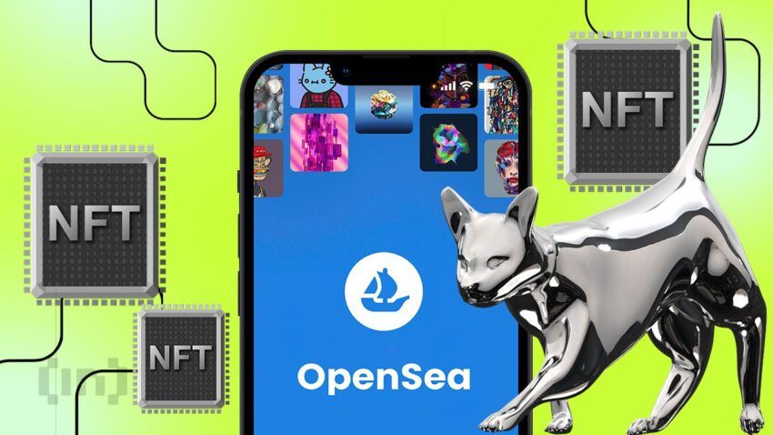 Katze mit OpenSea Logo