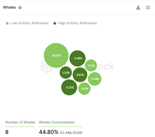 Dogecoin InToTheBlock On-Chain Analyse