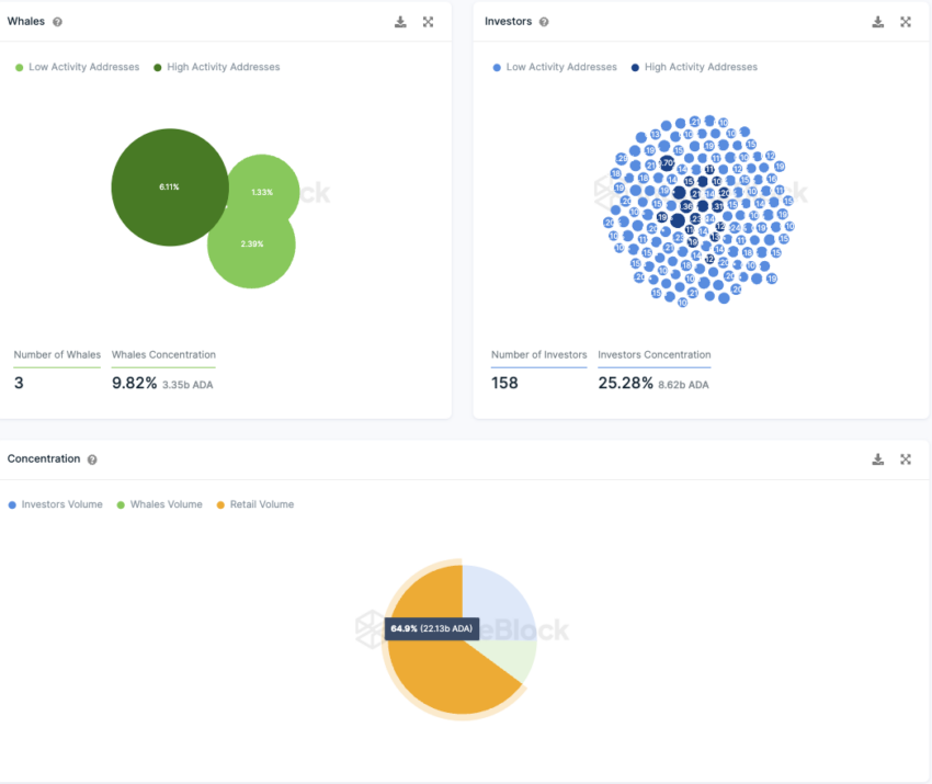 Cardano Konzentration der Investor-Typen