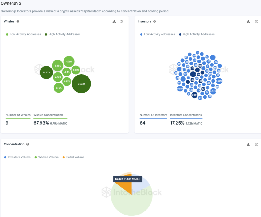 Polygon IntoTheBlock On-Chain Analyse