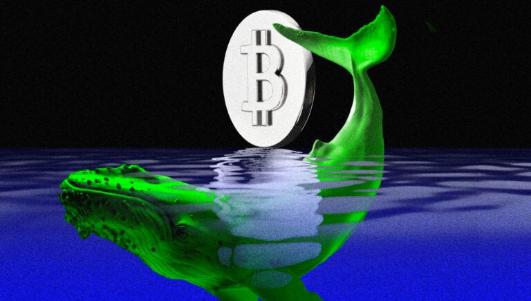 Bitcoin: Lösen Wale vor dem FED-Meeting eine Rallye aus?