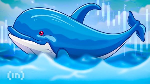 Krypto News: Darum stürzen sich Wale gerade auf diesen Altcoin