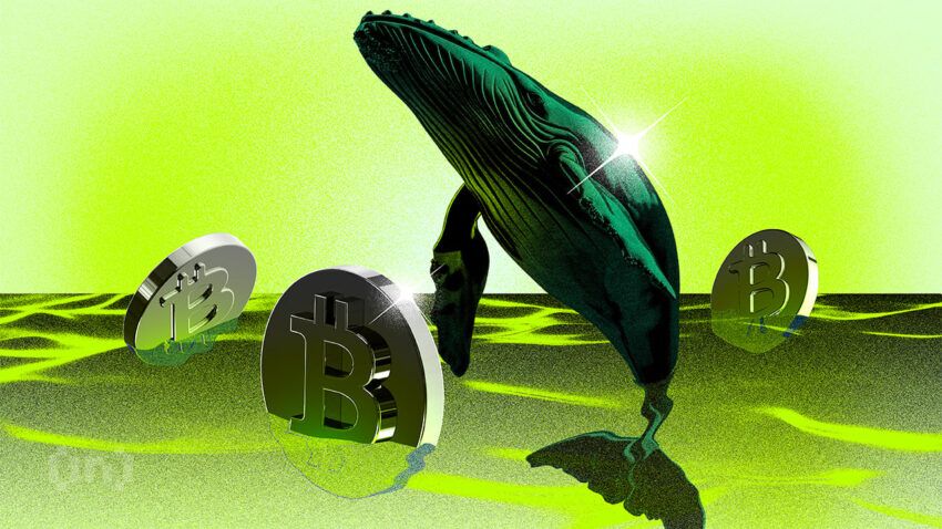 Bitcoin Wale kaufen um 6 Mrd. USD nach: Kann BTC auf 57.000 USD ansteigen?